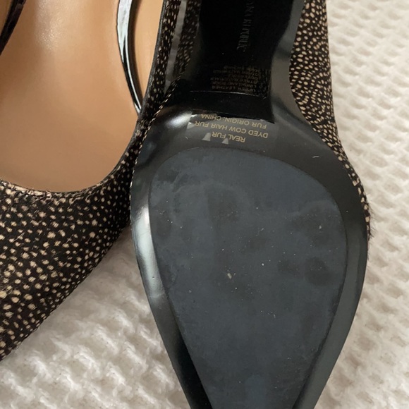 Brand New - Animal (NWOT) - Picture 4 of 8